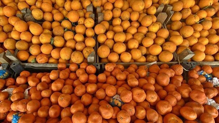 Türkiye’nin turunçgil ihracatı ilk çeyrekte rekor büyüme gösterdi