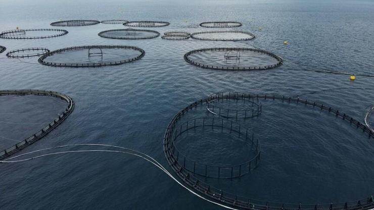 Muğla’dan dev ihracat hamlesi! 3 ayda 198 milyon dolar