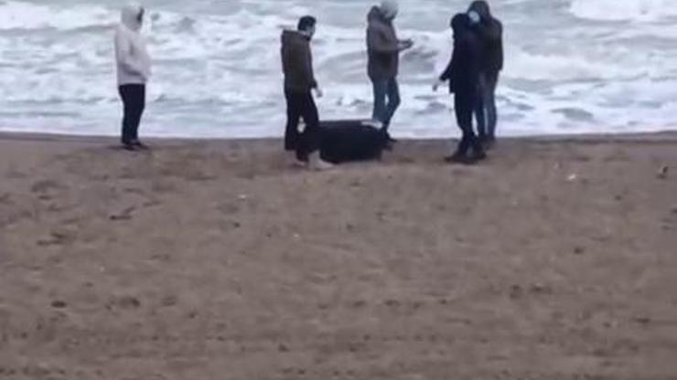 Sahile vuran çantadan 21,5 kilo uyuşturucu çıktı