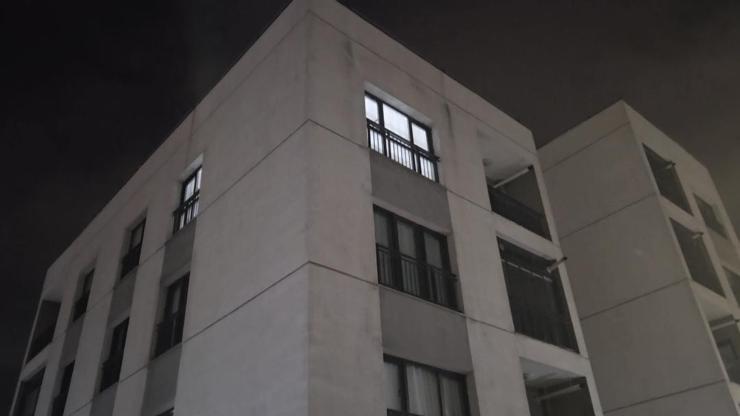 İstanbuldaki bir sitede kedi katliamı iddiası