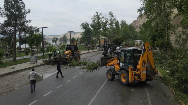 Şanlıurfa'da fırtınada devrilen ağaçlar kaldırılıyor