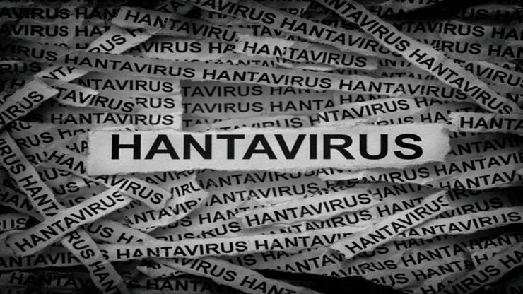HANTAVİRÜS NEDİR, NASIL BULAŞIR? Hantavirüs Belirtileri Neler? Hantavirüs İnsandan İnsana Bulaşır Mı? Dünya Sağlık Örgütü Ne Diyor?