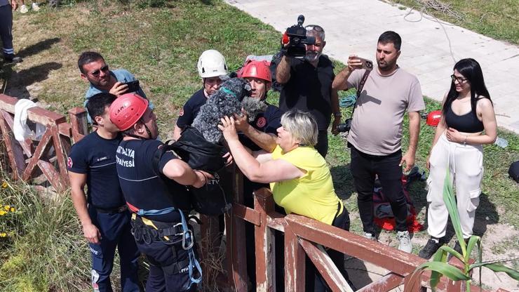 Kedi kovalarken falezlerden düşen köpek, dronla tespit edilip kurtarıldı