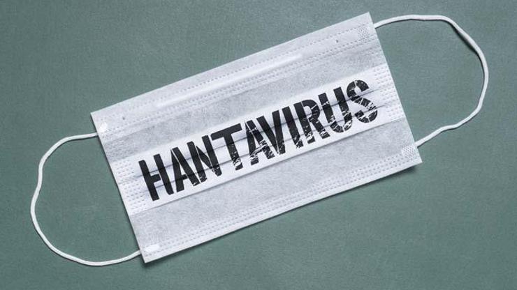 Türkiye’de Hantavirüs Vakaları 2009’dan Beri Görülüyor Hantavirüste Pandemi Riski Var mı Belirtileri 1-8 Haftada Ortaya Çıkıyor