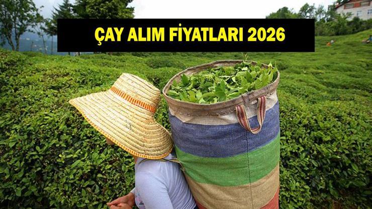 Yaş çay alım fiyatı ne kadar oldu? Bakanlık açıkladı