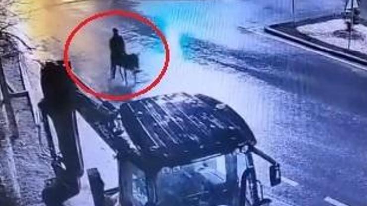 Eşekli hırsızın savunması mahkemeyi ikna edemedi