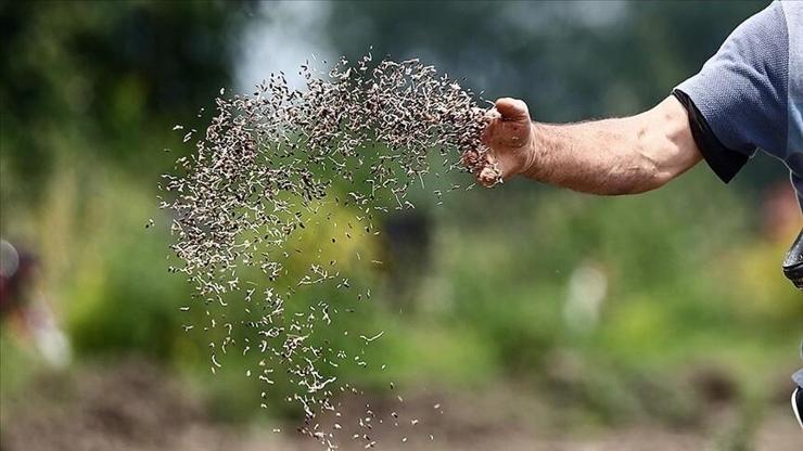 Türkiye’nin sertifikalı tohum ihracatı 20 yılda 8 kat arttı Türkiye’nin sertifikalı tohum ihracatı 20 yılda 8 kat arttı