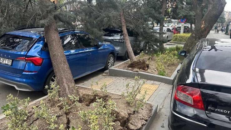 Ankarada şiddetli rüzgar Ağaçlar devrildi, araçlar zarar gördü