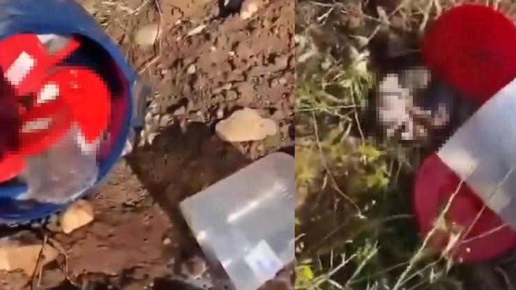 KAN DONDURAN İDDİA! Şanlıurfa’da mezarlıkta varil içerisinde çok sayıda cenin bulundu