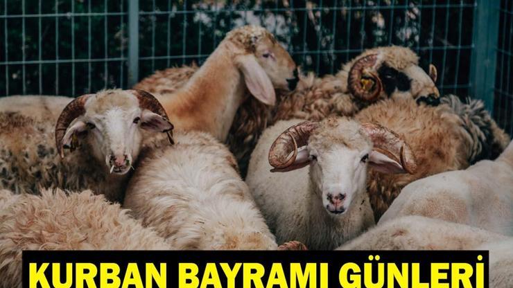 BAYRAM TATİLİ NE ZAMAN BAŞLIYOR Bayrama kaç gün kaldı Kurban Bayramı tatili ne zaman