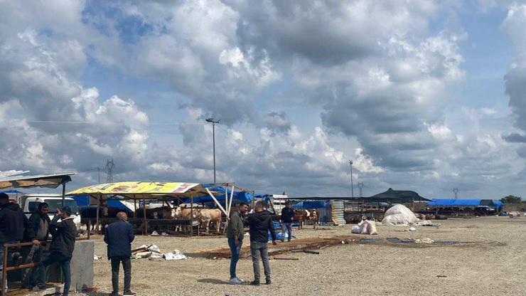 Çerkezköy'de hayvan pazarında taşlı-sopalı kavga; 2 yaralı