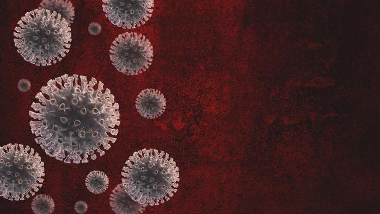 Ebola virüsü nedir, ölümcül mü Ebola virüsünün belirtileri neler