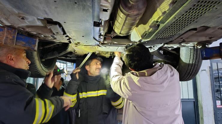 Otomobilin motor bölümüne giren kedi sanayide çıkarıldı Otomobilin motor bölümüne giren kedi sanayide çıkarıldı
