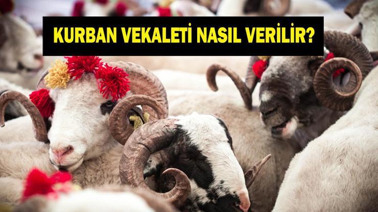 KURBAN VEKALETİ NASIL VERİLİR Kurban Vekaleti Kimlere, Nasıl Verilir, Alınır Vekalet Bedeli Ne Kadar Diyanet Açıkladı...