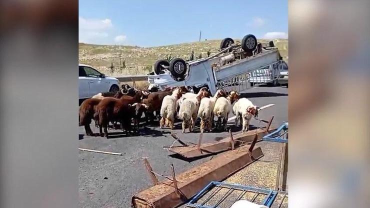  1 ölü