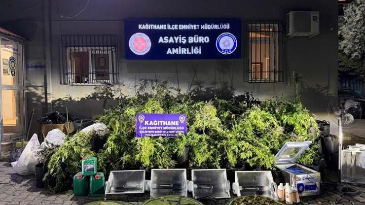 Kağıthanede koku gelen eve operasyon: Evi zehir yuvasına çevirmişler