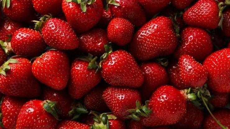 Günde 5 Porsiyon Kuralını Unutun 1 Değil, 2 Değil, 3 Değil, İşte KALBE ŞİFA 10 BESİN Etkisini Duyunca Şok Olacaksınız Araştırmada 500 mg Detayı Dikkat Çekiyor