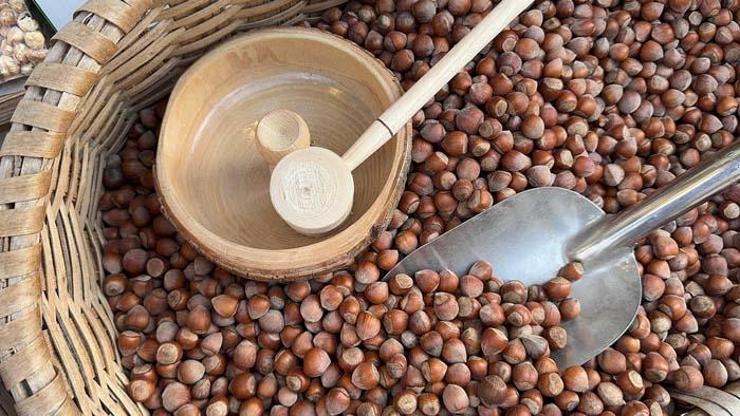 KISIRLIĞA ÇARE Mİ Giresun Fındığı ile İlgili Dikkat Çeken Araştırma