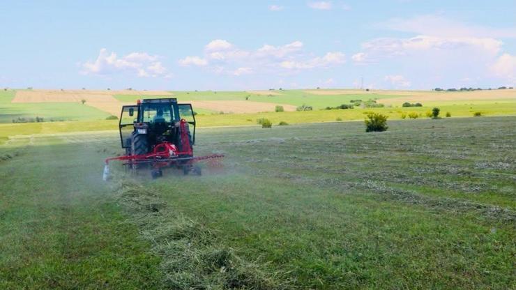 Edirne’deki meralarda ot biçimleri sürüyor