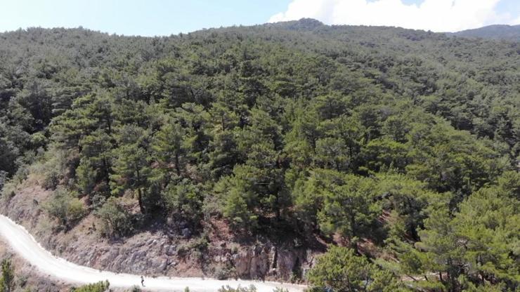 Bilecik'te ormanlık alan ve yaylalara girişler yasaklandı Bilecik'te ormanlık alan ve yaylalara girişler yasaklandı