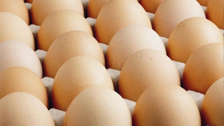 Türk yumurtasına Avrupa'dan yoğun talep! İhracatta İtalya ve Polonya dikkat çekti