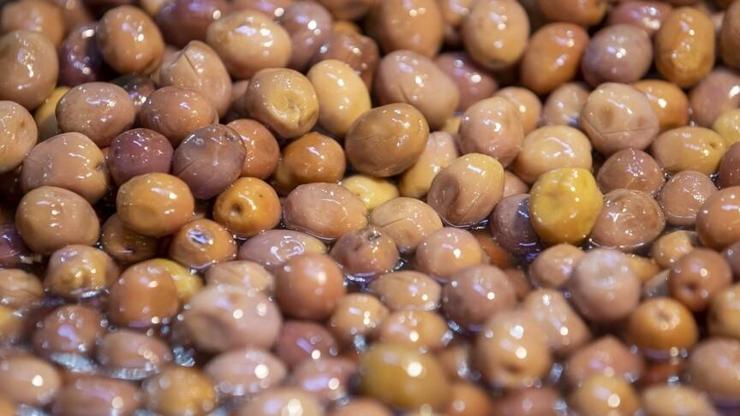 Zeytin ve zeytinyağında rekolte rekoru bekleniyor! Hedef yeniden 1 milyar dolar ihracat Zeytin ve zeytinyağında rekolte rekoru bekleniyor! Hedef yeniden 1 milyar dolar ihracat