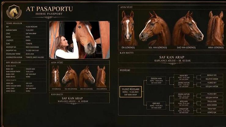 Bir atın pasaportu olur mu Her yarış atının soyu böyle kayıt altına alınıyor