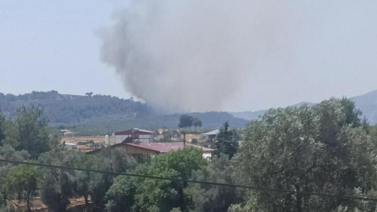  Alevler ormanlık alana sıçradı