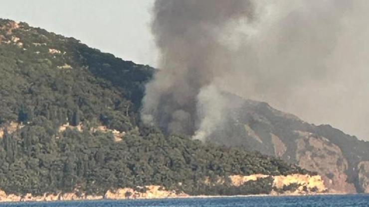 Son dakika haberi: Viranbağ Plajı’nda yangın Ekipler sevk edildi