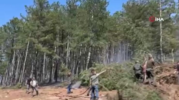 Alevlere havadan ve karadan müdahale edildi Alevlere havadan ve karadan müdahale edildi