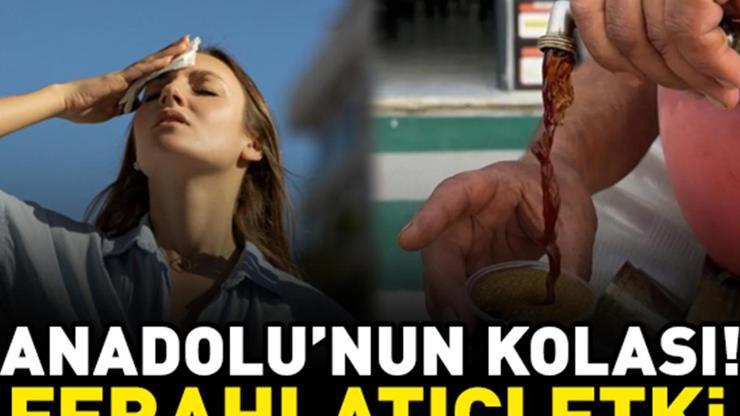Anadolunun kolası Yaz sıcaklarında ferahlatıyor Antioksidan deposu bu içeceği günde 2 bardak tüketmek yetiyor
