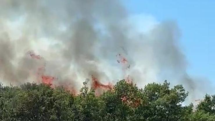 Bursa'da orman yangını! Kestel'de alevlere havadan ve karadan müdahale Bursa'da orman yangını! Kestel'de alevlere havadan ve karadan müdahale