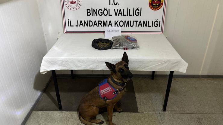 Bingöl'de aranan 4 firari hükümlü yakalandı