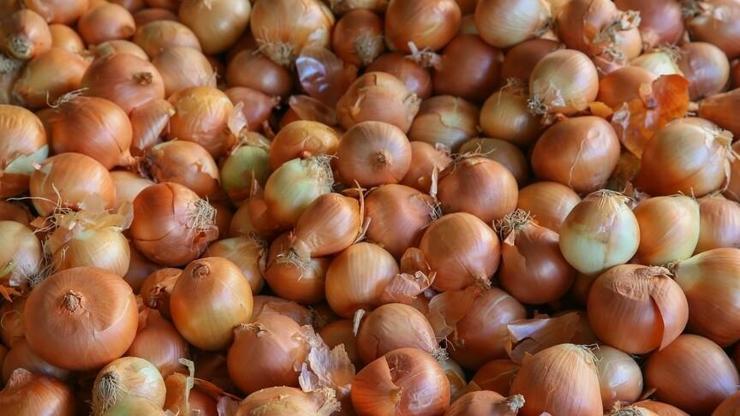 Kuru soğan ithalatında gümrük vergisi geçici olarak yüzde 5'e indirildi Kuru soğan ithalatında gümrük vergisi geçici olarak yüzde 5'e indirildi