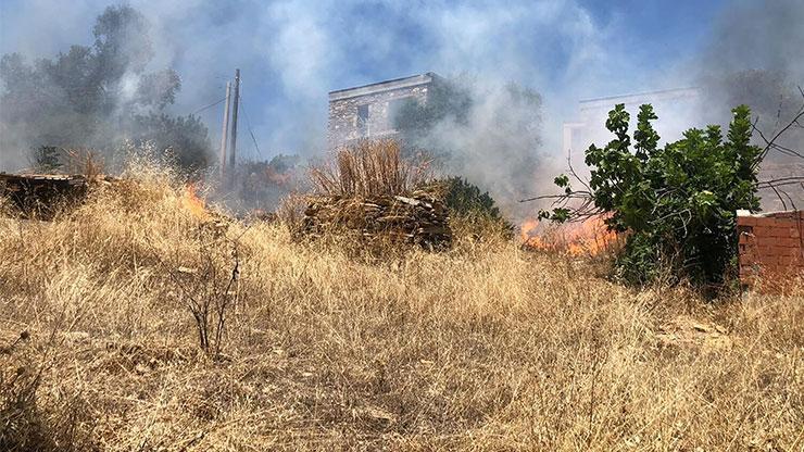 Bodrum'da otluk alanda çıkan yangın, ormana sıçradı Bodrum'da otluk alanda çıkan yangın, ormana sıçradı
