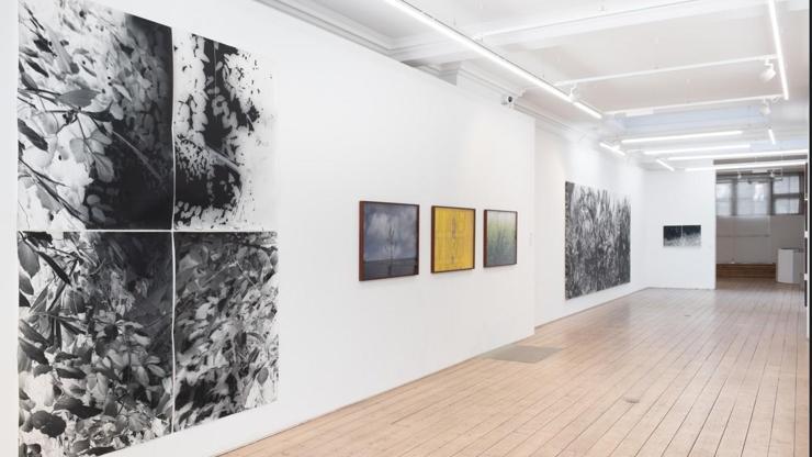 Gary Sangster’ın küratörlüğünde gerçekleşen “Botanicals” grup sergisi, VISION ART PLATFORM Londra’da! Gary Sangster’ın küratörlüğünde gerçekleşen “Botanicals” grup sergisi, VISION ART PLATFORM Londra’da!