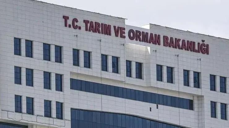 İthalatta yeni düzenleme yürürlüğe girdi! Tarım Bakanlığının kontrol listesi güncellendi