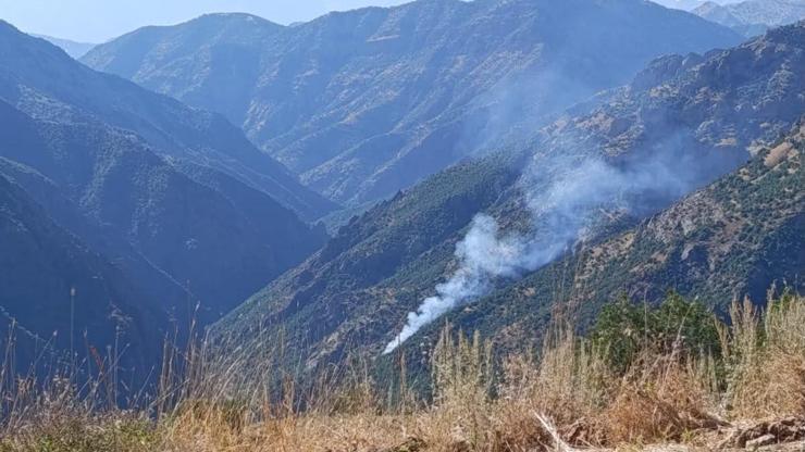 Munzur Vadisi Milli Parkında orman yangını