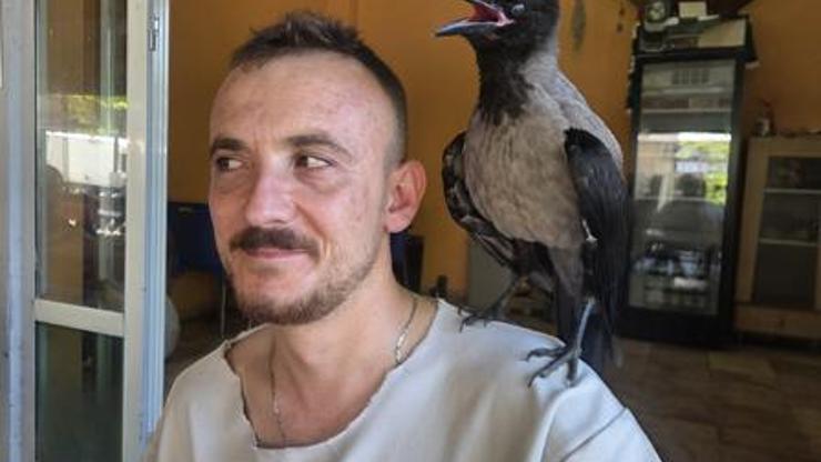 Görenleri şaşırtan dostluk Bir an olsun yanından ayrılmıyor