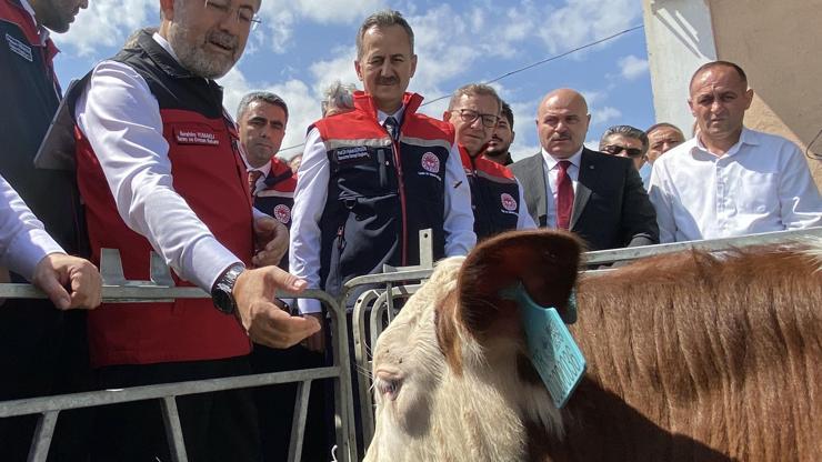  Her hayvanın elektronik kimliği olacak