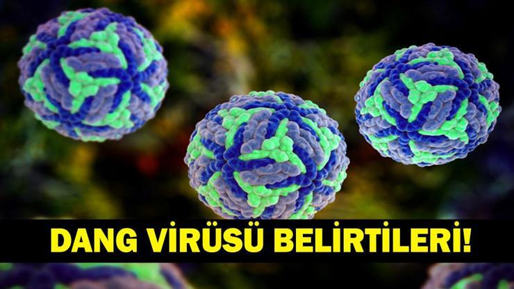 DANG VİRÜSÜ NEDİR, ÖLÜMCÜL MÜ? Dang virüsü Belirtileri Neler, Nasıl Bulaşır? Serdar Akinan'dan Dang Virüsü Açıklaması!