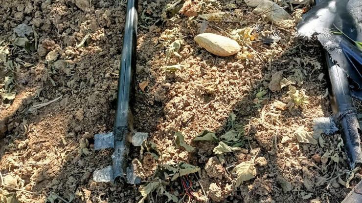 Fındık bahçesinde İHA olabileceği değerlendirilen cisim bulundu