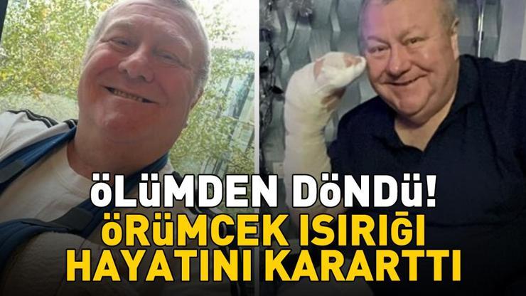 Örümcek ısırığı hayatını kararttı! 61 yaşındaki adam ölümden döndü