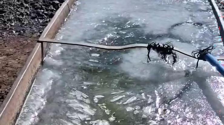 Kars’ta eyül ayında sular buz tuttu
