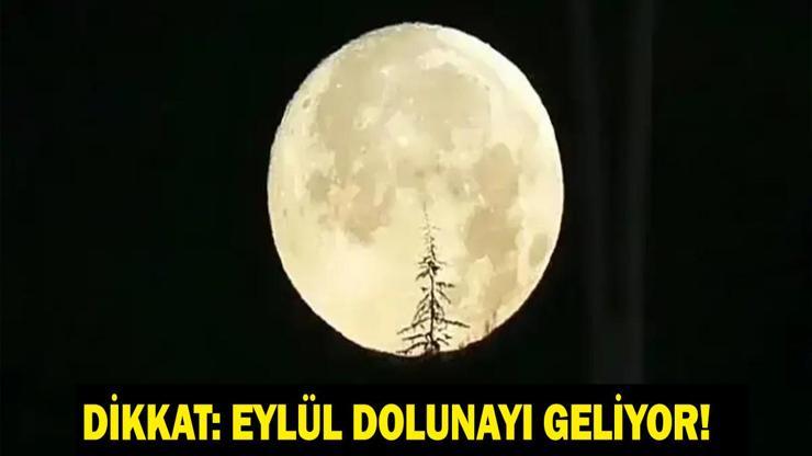 EYLÜL DOLUNAYI NE ZAMAN, SAAT KAÇTA GERÇEKLEŞECEK Hasat Dolunayı Nedir 2026 Hasat Dolunayı İçin Geri Sayım Başladı