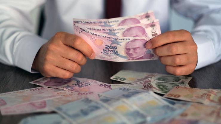 adan-zye-fon-rehberi-fonu-kim-yonetir-devlet-garantisi-var-mi-fon-batarsa-ne-olur-fonda-para-kalir-mi