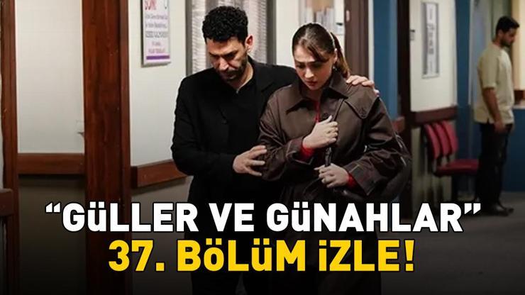GÜLLER VE GÜNAHLAR 37. BÖLÜM İZLE FULL HD KANAL D | Murat Yıldırım ve Cemre Bayselli Güller ve Günahlar 37. bölüm izleme ekranı