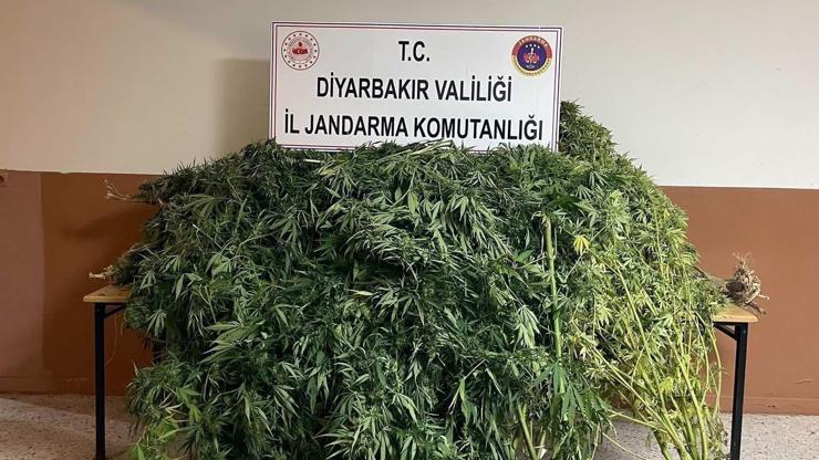 Diyarbakır’da uyuşturucu operasyonlarında 32 şüpheliye işlem yapıldı