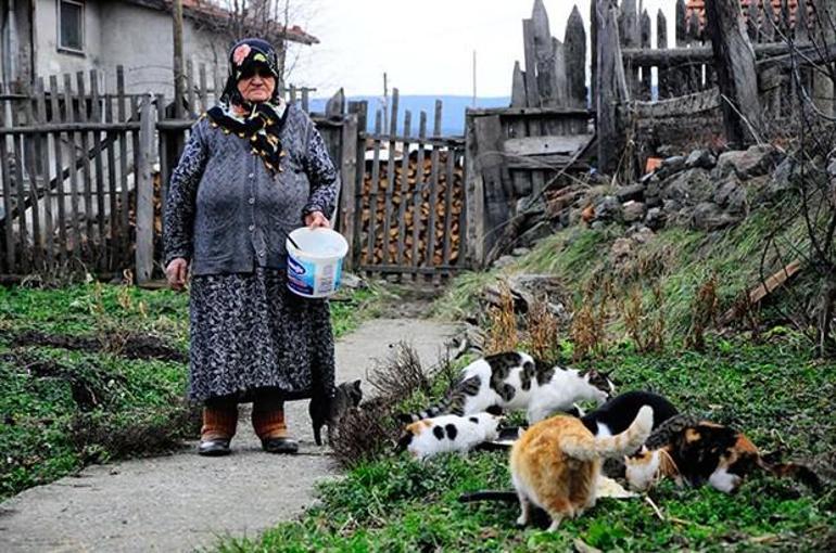 Kediler aç kalır diye köyden ayrılmıyor