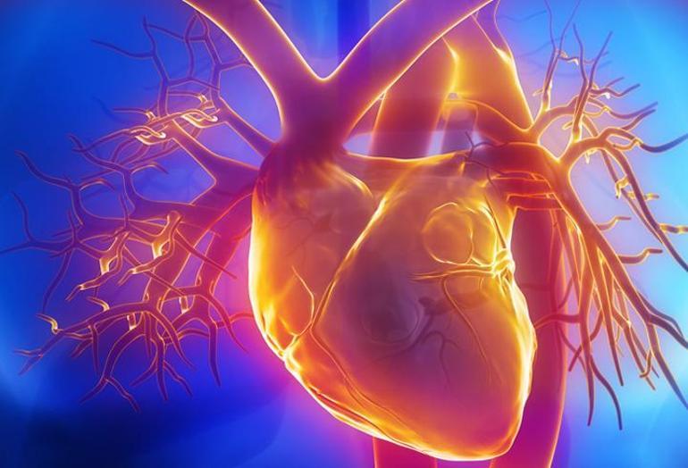 Ev kadınının kalp krizi geçirme riski daha yüksek